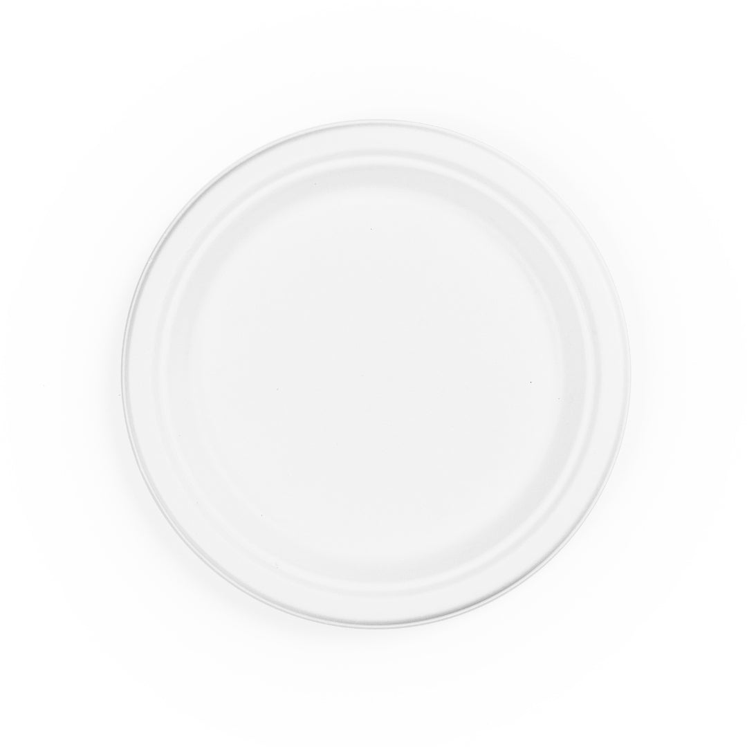 Bagasse Compostable Plate