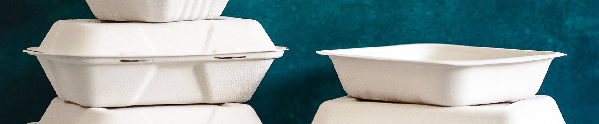 Bagasse & On-the-Go
