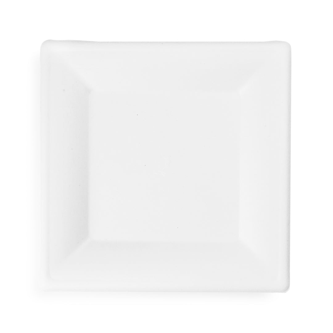 Square Bagasse Plate | VPSQ-PAR